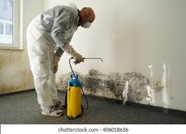 Best Biohazard Mold Removal  in Inglenook, CT